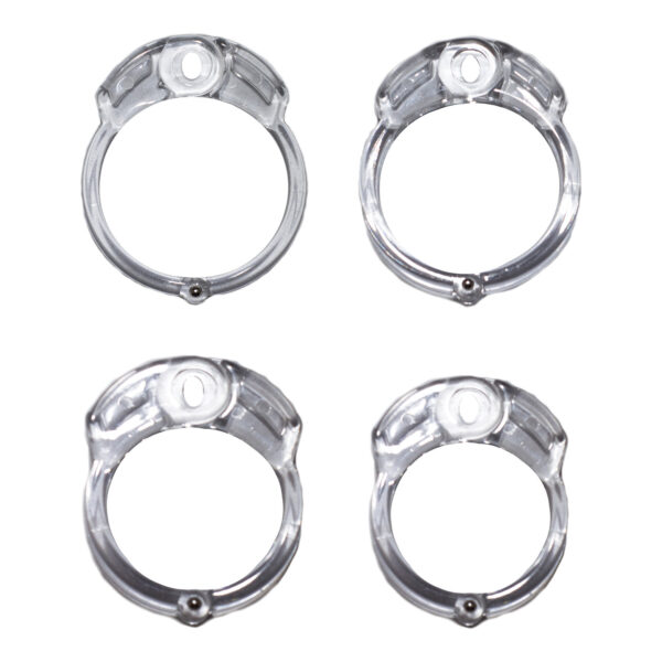 Standard Rings