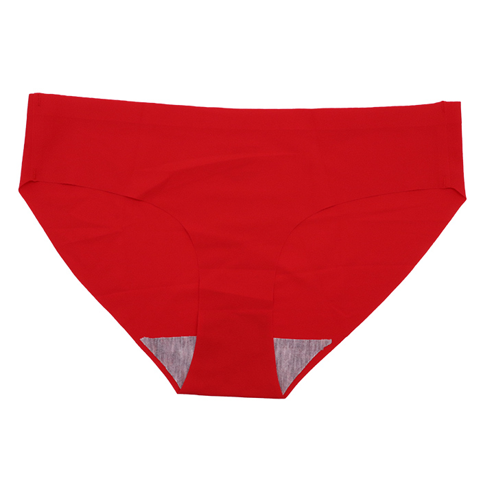 Sissy Classic Nylon Panty - Image 10