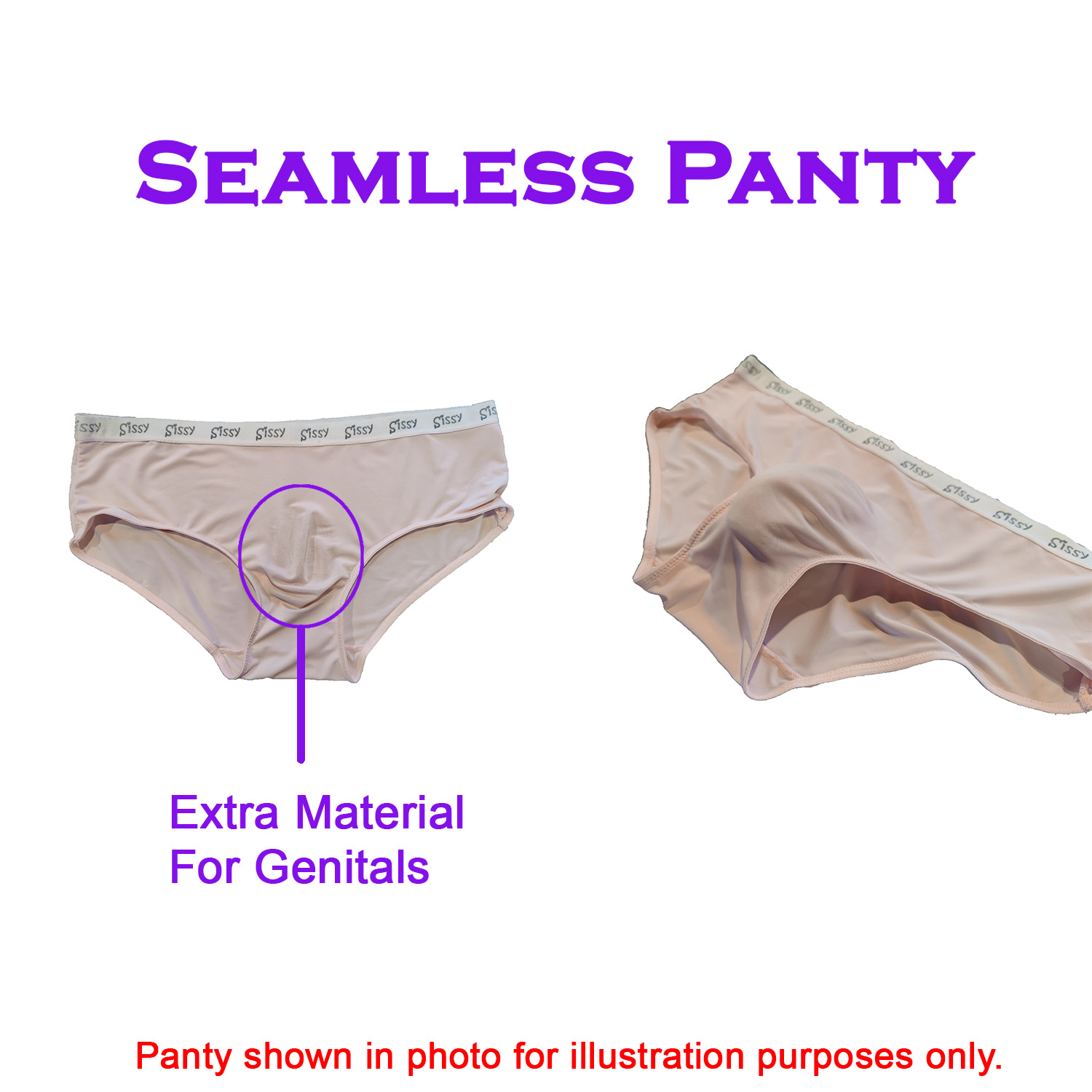 Sissy Locked Lace Panty - Image 5